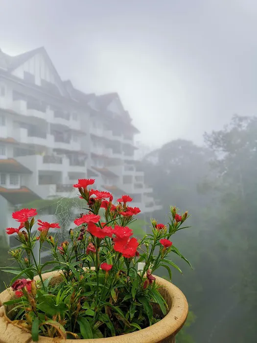 Fraser's Silverpark Resort Picture 2