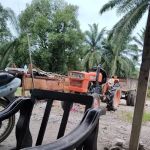 Rem sawit lissa ent