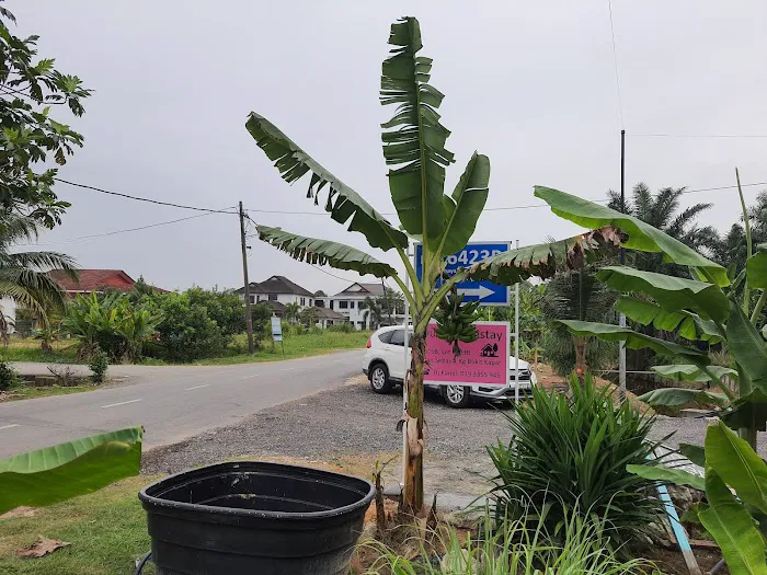 Ayuni Homestay Picture 9