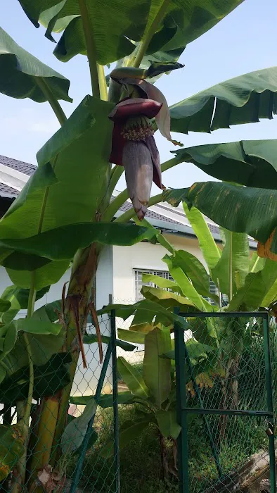 Taman Sebaya Picture 3