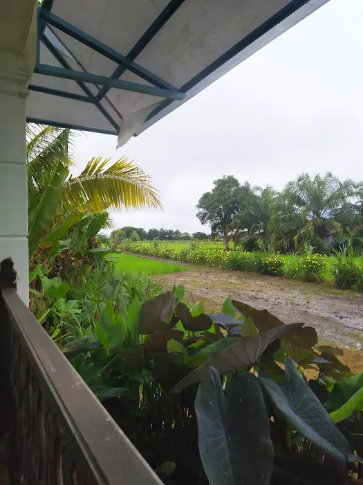 RUMAH PUTIH D'SAWAH Premium Cottage Picture 6