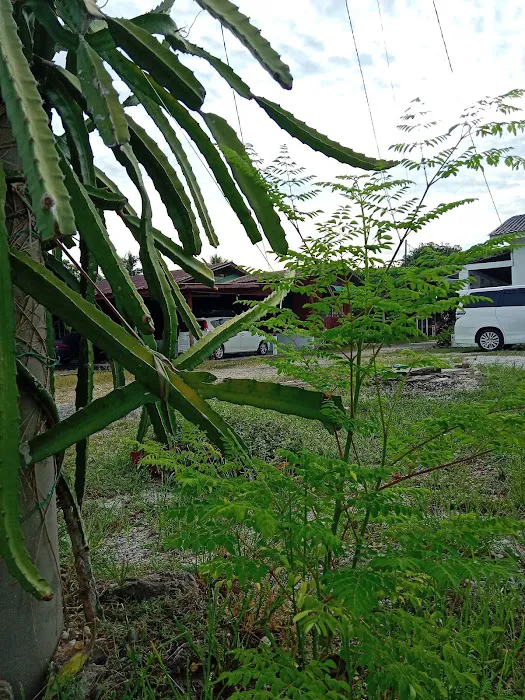 RUMAH PUTIH D'SAWAH Premium Cottage Picture 4