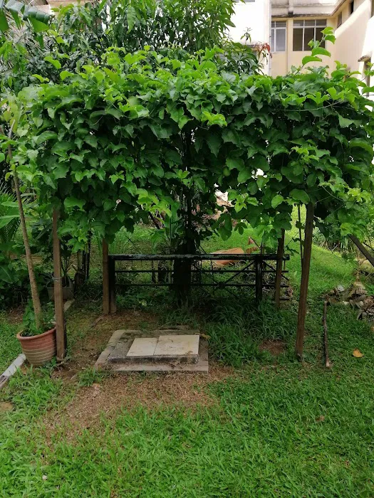 Sentosa Hill Homestay Picture 6