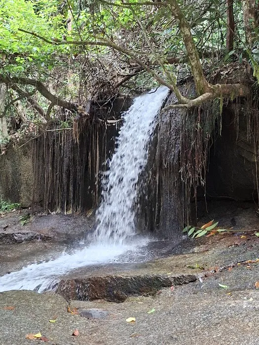 Buluh Perindu Campsite (CampBase) Picture 9