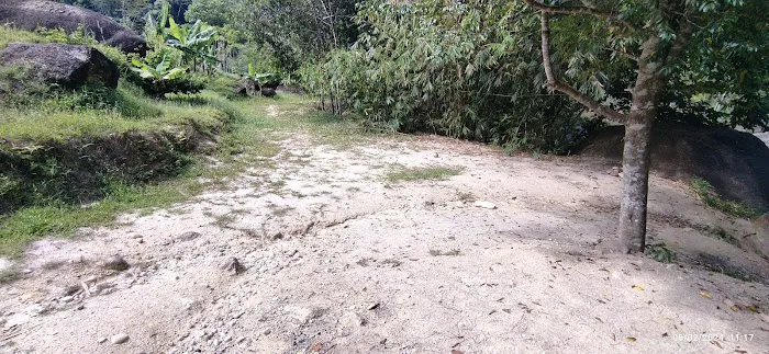 D'Buana Wild Campsite Picture 2
