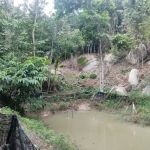 D'Buana Wild Campsite
