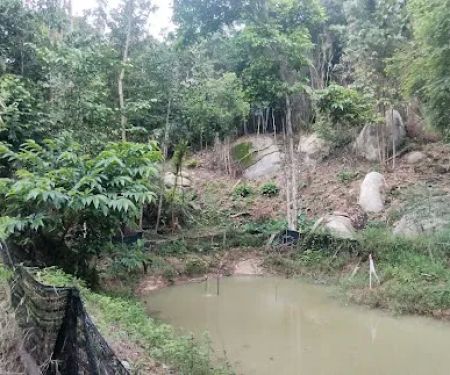 D'Buana Wild Campsite