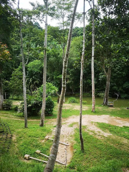 Kem Anjung Cherandong Nature Camp Picture 3