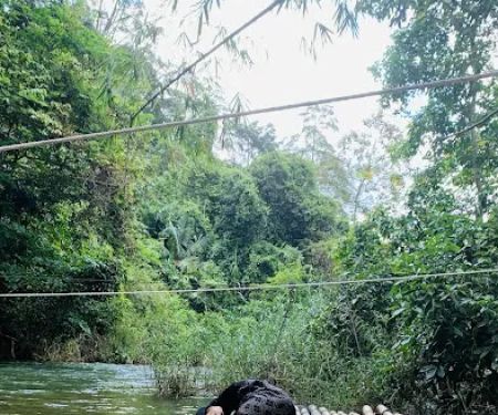 Glamping Pinang Sebatang