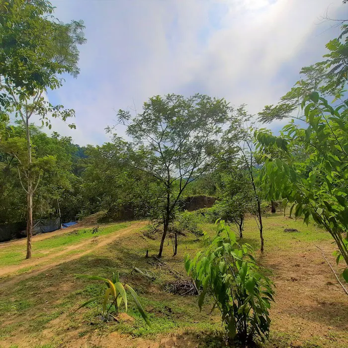 Buloh Perindu Campsite (Entry Point) Picture 10