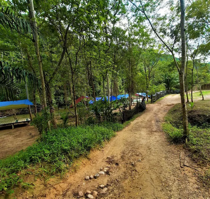 Buloh Perindu Campsite (Entry Point) Picture 8