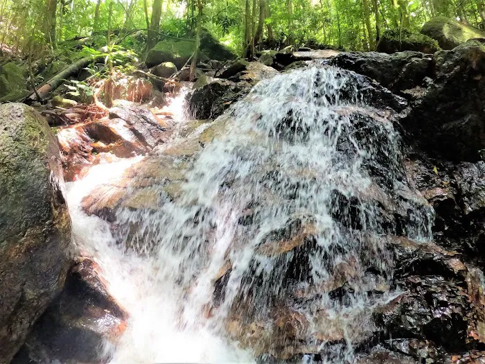 Buloh Perindu Campsite (Entry Point) Picture 5
