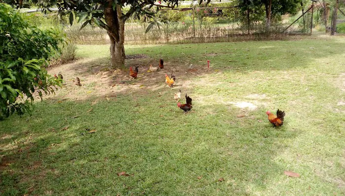 XO Farm Stay Resort Picture 2