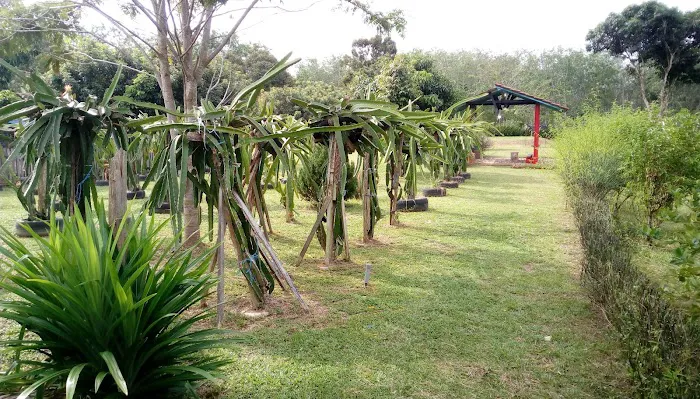 XO Farm Stay Resort Picture 4