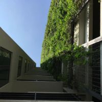 Breezy Studio ico