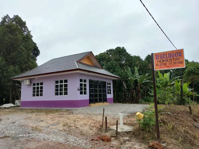 Homestay D'Gelugor Jln Pasir Mas Picture 1
