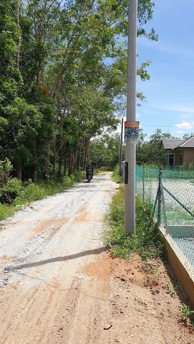 Taman Ehsan Bukit Panau Picture 5