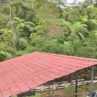 Puncak Inn Tower Campsite Hill (PITCH) Fraser's Hill ico