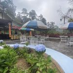 Long tailed guesthouse