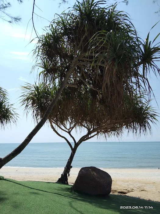 Teluk Chempedak TC Hotel Picture 10