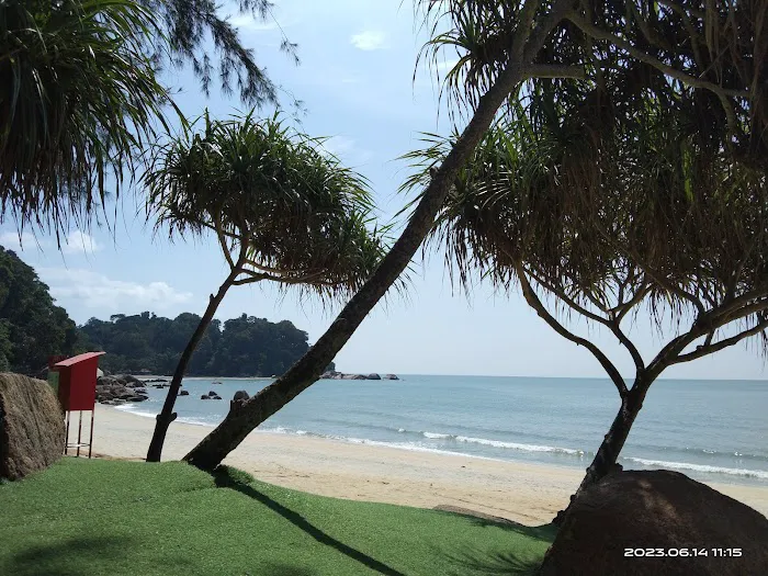 Teluk Chempedak TC Hotel Picture 5