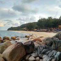 De Chempedak Guest House ico