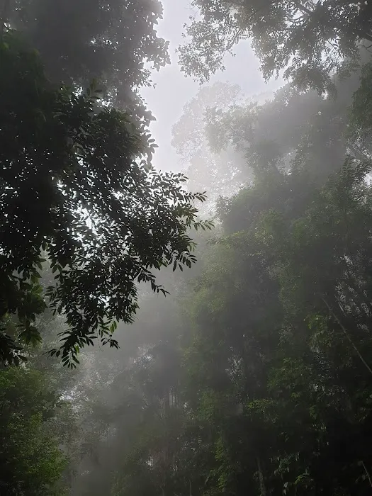 Taman Pelindung Heights Picture 5