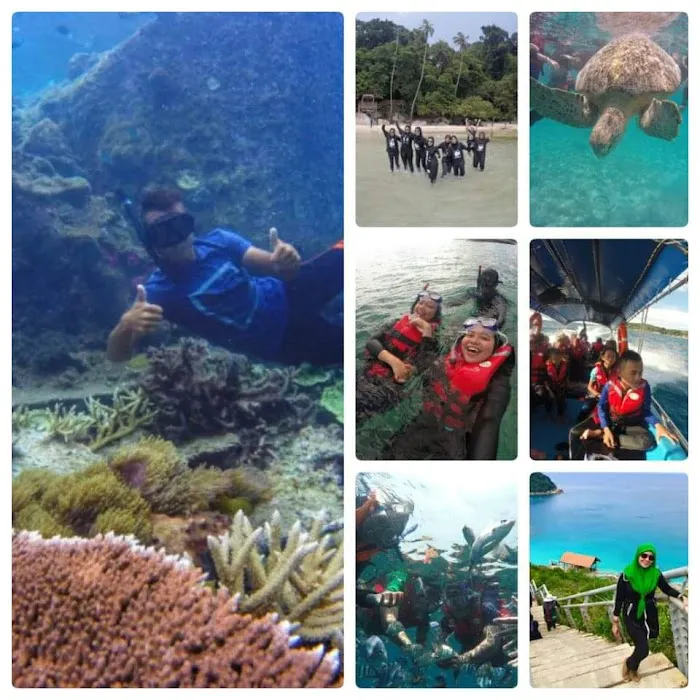 Sealife Inn Perhentian Picture 3