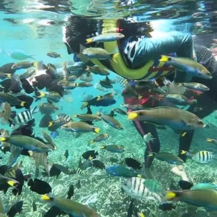 Sealife Inn Perhentian Picture 2