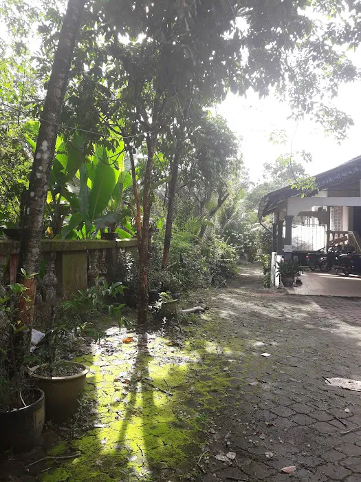 Mok Cik Nab Homestay & Madu Kelulut Picture 2