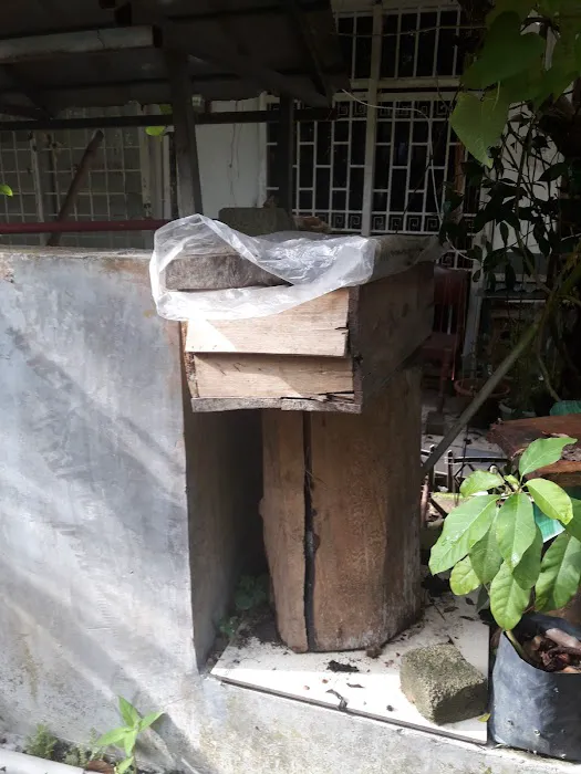 Mok Cik Nab Homestay & Madu Kelulut Picture 6