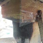Mok Cik Nab Homestay & Madu Kelulut