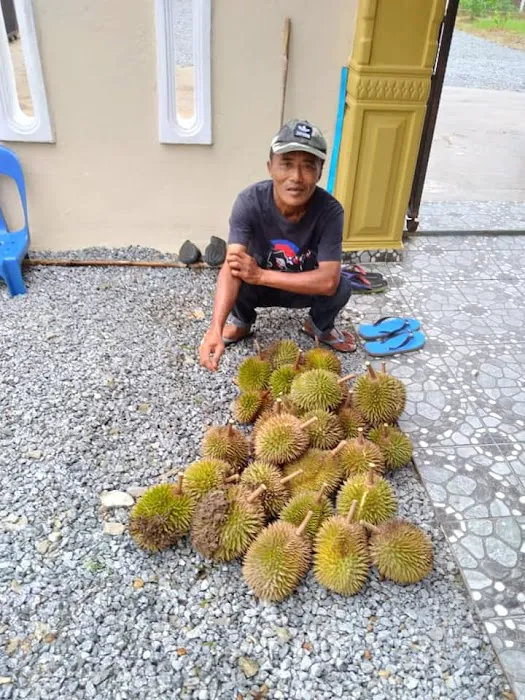 MELIN'S HOMESTAY Picture 2