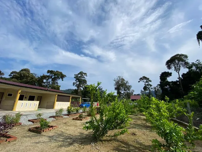 MELIN'S HOMESTAY Picture 10