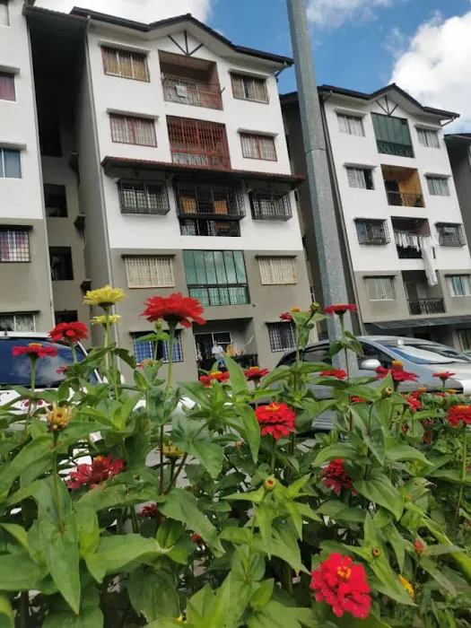 Homestay Chinta Hillview Picture 8