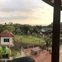 David's garden cottage ico