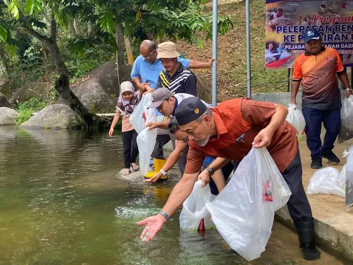 Dusun Tok Ibu Picture 1