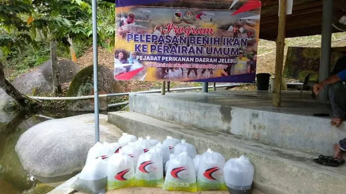Dusun Tok Ibu Picture 6