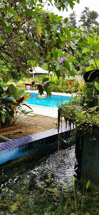 D'Sarang Retreat Picture 6