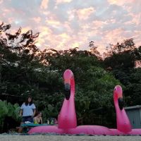 D'Sarang Retreat ico