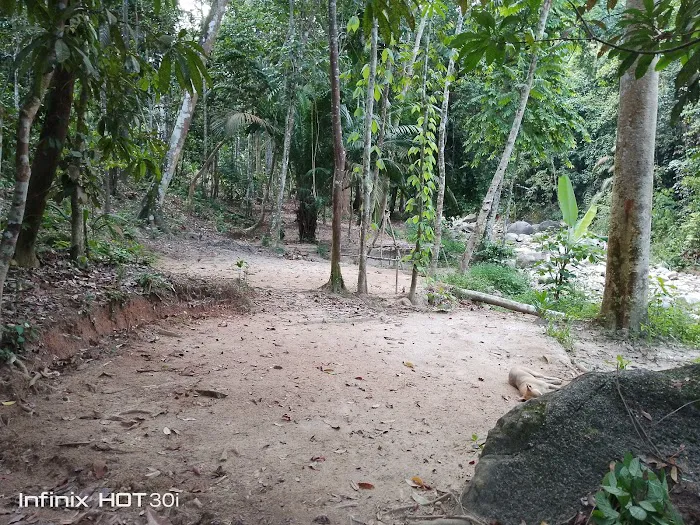 Ngoi Ngoi Campsite Picture 2