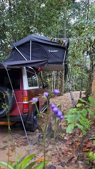 Ngoi Ngoi Campsite Picture 3