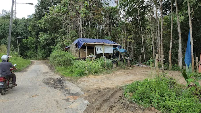 Ngoi Ngoi Campsite Picture 9