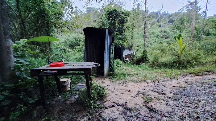 Ngoi Ngoi Campsite Picture 4