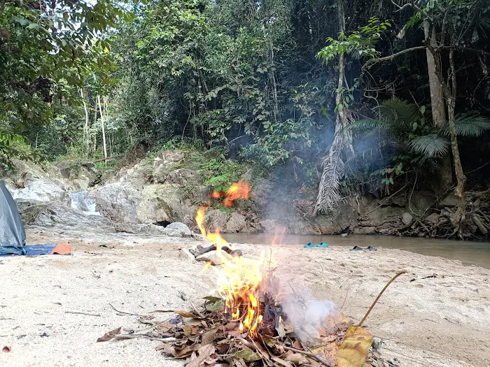 Ngoi Ngoi Campsite Picture 5