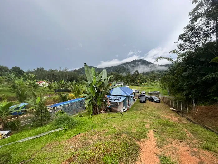 Bluduree Desacation and Homestay Picture 6