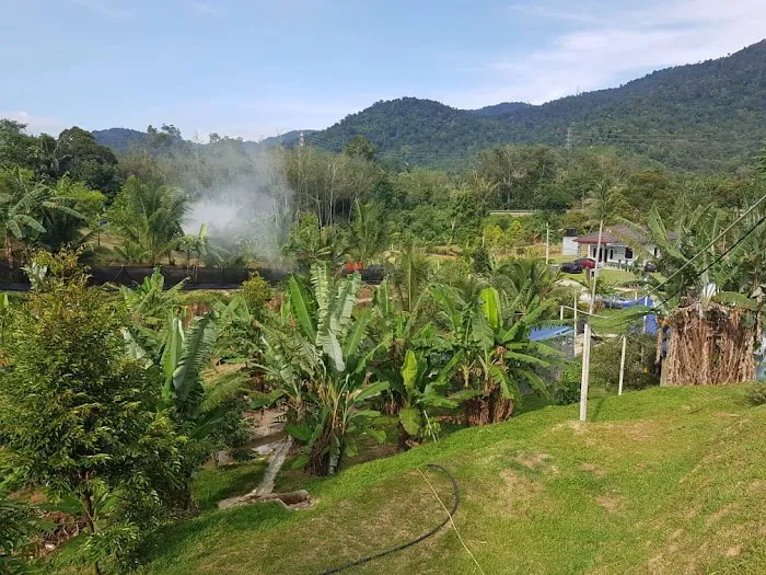 Bluduree Desacation and Homestay Picture 1