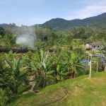 Bluduree Desacation and Homestay