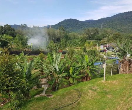 Bluduree Desacation and Homestay