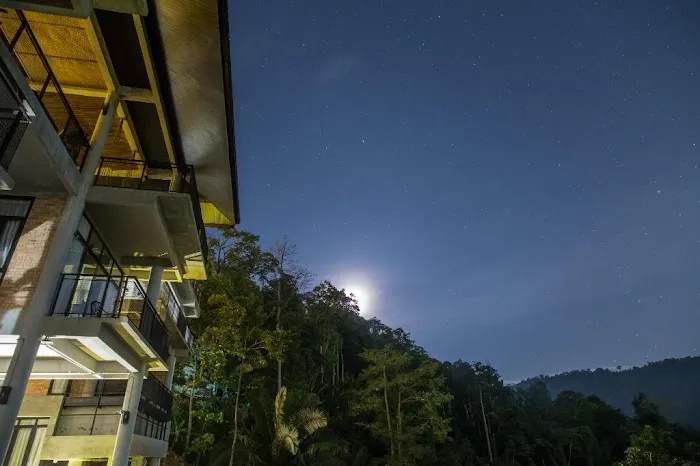 Sembayu Villa Picture 6